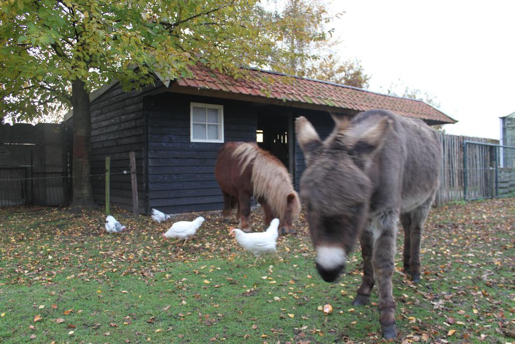 B&B de Rijcke Rust Rijkevorsel Buitenkant foto
